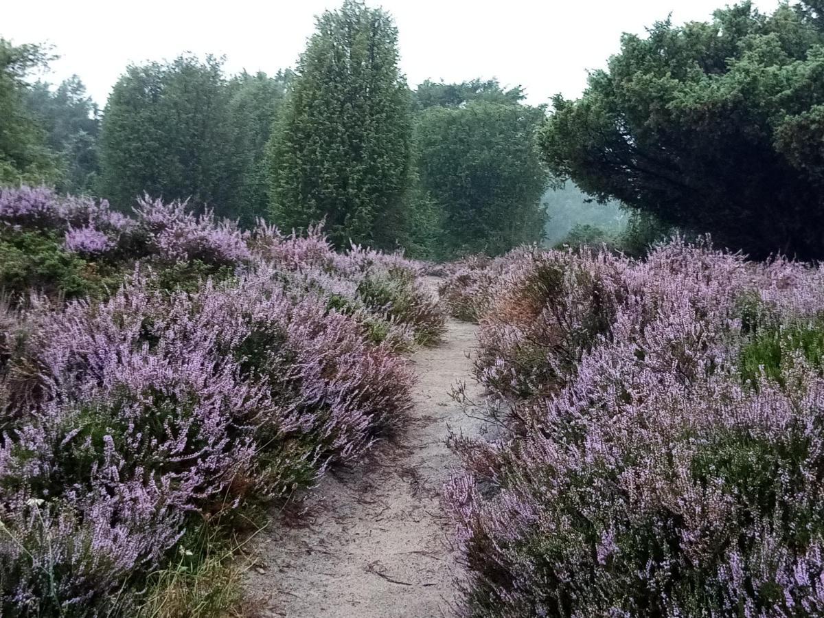 Rikobravo Villa Meppen Bagian luar foto